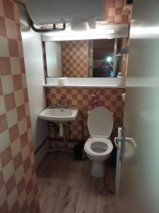a small bathroom with a toilet and a sink at Le lorrane in Muhlbach-sur-Munster