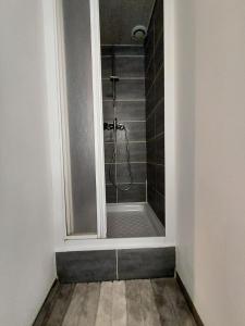 a bathroom with a shower with a glass door at Super t6 avec terrasse à Cergy in Cergy