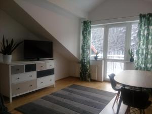 a living room with a tv on a dresser and a window at Leśny Loft in Gdynia