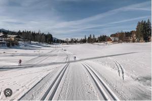 Chalet Dachstein v zime
