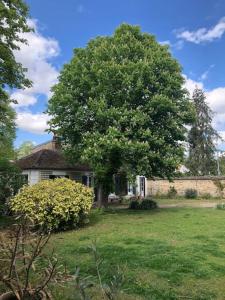 une maison avec un grand arbre dans la cour dans l'établissement Country house - 5 mns from Fontainebleau, 