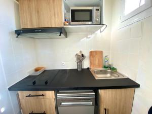 małą kuchnię ze zlewem i kuchenką mikrofalową w obiekcie Appartement cozy w Montpellier
