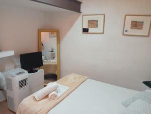 a bedroom with a bed and a tv and a mirror at Cau d'en Magí - Apartament Casc Antic in Tarragona