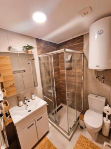 e bagno con doccia, servizi igienici e lavandino. di Cozy Forest Kopaonik a Kopaonik