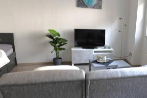 uma sala de estar com 2 sofás e uma televisão de ecrã plano em Zufluchtshütte em Herzogenrath
