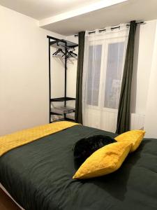una camera da letto con un letto con un cuscino giallo e una finestra di Appart 500 m centre ville - gare a Soissons