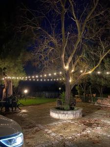 a tree with christmas lights on it at night at Villa Valentina in Locorotondo