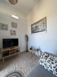 a living room with a flat screen tv and a couch at Beach apartment Edem first floor in Perivolos
