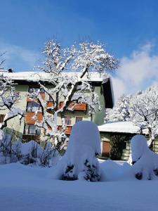 une maison recouverte de neige avec des arbres enneigés dans l'établissement Gästehaus Sägemühle, à Russbach am Pass Gschütt