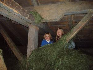 Hosté ubytování Hinterreith-Hof
