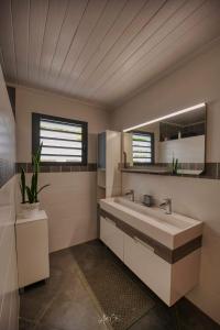 小島市的住宿－HAUT DE VILLA avec piscine chez JP，一间带水槽和镜子的浴室