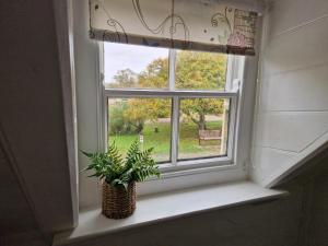 a window with a potted plant sitting on a window sill at The Jolly Sailor in Orford