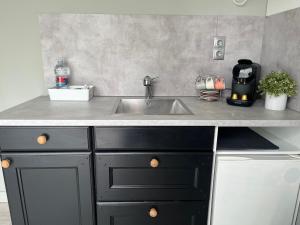 a kitchen with a sink and a counter top at LA CASA CONTENEDOR in Zaragoza