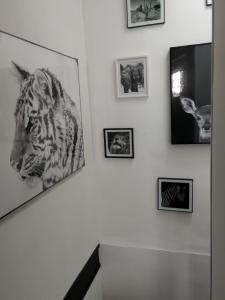 Un mur avec des photos d'un tigre sur lui dans l'établissement le gîte du fou logement 8 pers 13mn puy du fou, à Saint-Amand-sur-Sèvre