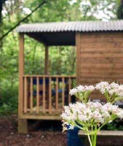 una piccola casa in legno con un vaso di fiori di Woodland Glamping Cabin a Hatherleigh