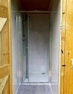 a shower with a glass door in a bathroom at Woodland Glamping Cabin in Hatherleigh