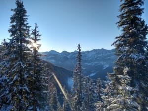 a view of a mountain with snow covered trees at Forester Apartment Zuberec in Zuberec