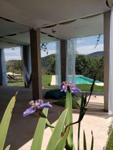 a view of a house with purple flowers in the foreground at Zen in Itaipava