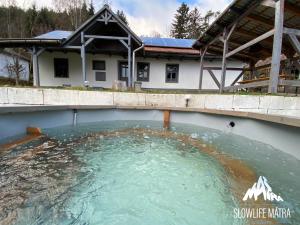 MátraszentistvánにあるSlowlife Mátraの大きな水のプールが建物の前にある