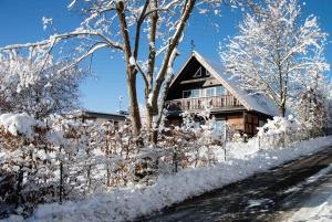 StrandBerg's Onkel Tommys Hütte في برونلاغ: منزل مغطى بالثلج مع سياج وأشجار