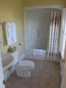 a bathroom with a toilet and a sink and a tub at Louisbourg Heritage House in Louisbourg