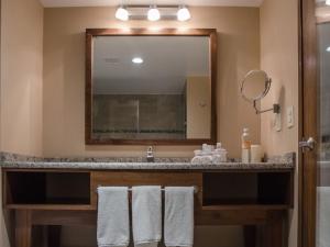 Koupelna v ubytování Holiday Inn Express and Suites Celaya by IHG