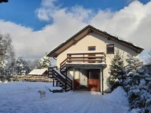 ein Haus mit einem Hund im Schnee in der Unterkunft Agroturystka Stylowy Apartament nad Stajnią in Krajno-Zagórze