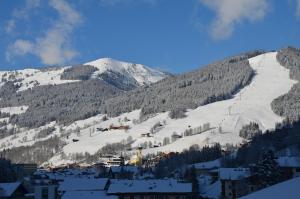 Appartement Gundi Ripper v zime