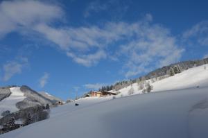 Appartement Gundi Ripper v zime