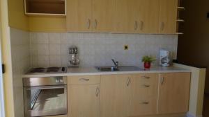 Kuchyň nebo kuchyňský kout v ubytování Apartments Zulim