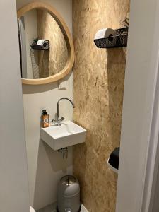 a bathroom with a sink and a mirror at Monkey Tree Stay in Schiedam