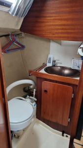 a small bathroom with a toilet and a sink at Dormir num veleiro em Lisboa in Lisbon