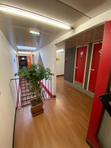 a hallway with a potted plant in a room at Class'Eco Albi in Albi