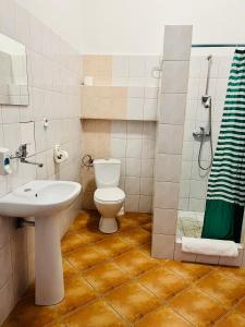 y baño con aseo, lavabo y ducha. en Hotel Elda en Bydgoszcz