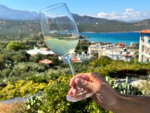 una persona sosteniendo una copa de vino blanco en Villa Praxia i, en Kalo Chorio 38 fotos más