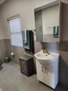 a bathroom with a sink and a mirror at Nemesia Court in Durbanville