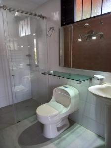 een badkamer met een toilet, een douche en een wastafel bij Feliz Amanecer in Sáchica