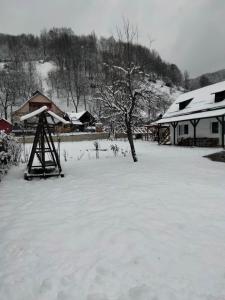 een tuin bedekt met sneeuw naast een huis bij Casa Simona in Vişeu de Sus