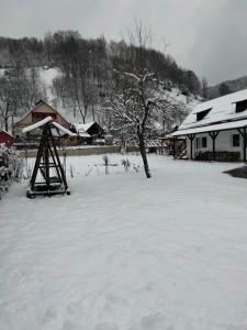 a yard covered in snow next to a house at Casa Simona in Vişeu de Sus +10 photos