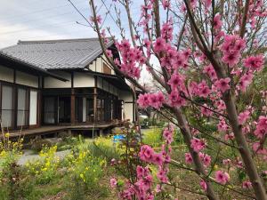 un jardin avec des fleurs roses en face d'une maison dans l'établissement Fukurou no Oyado - Vacation STAY 71246v, à Fuefuki