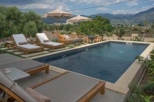 a swimming pool with two lounge chairs and an umbrella at Elaia Grove in Kalamata