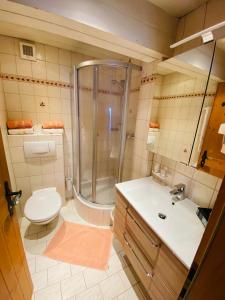 uma casa de banho com um chuveiro, um WC e um lavatório. em Wengerbauer em Dorfgastein