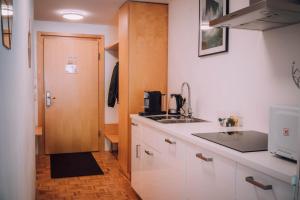 A kitchen or kitchenette at Apartment Auenfeld Widderstein