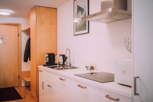 A kitchen or kitchenette at Apartment Auenfeld Widderstein