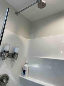 a bathroom with a mirror and a bottle of soap at The Dollar House in Albert Lea +19 photos