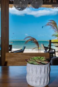 una planta sentada en una mesa con vistas a la playa en Pousada Preamar, en Prea