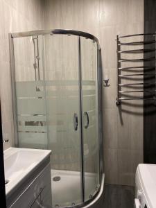La salle de bains est pourvue d'une douche en verre et d'un lavabo. dans l'établissement Апартаменты LOFT в жк Срібний дім, à Trouskavets