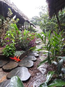 Zahrada ubytování Casa Azul Reserva Amazonica