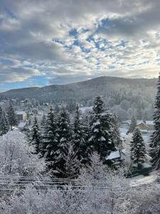 un grupo de árboles cubiertos de nieve en una montaña en Vila Predeal Holidays, en Predeal