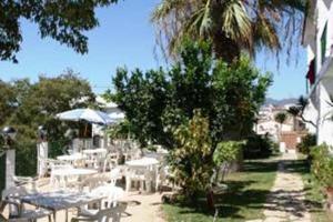 eine Terrasse mit weißen Tischen und Stühlen sowie einer Palme in der Unterkunft Hostal Casa Torrent in Canet de Mar